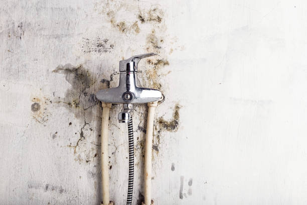 Best Water Damage Restoration  in Williamston, NC