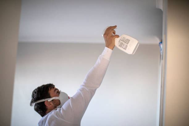 Best Black Mold Removal  in Williamston, NC