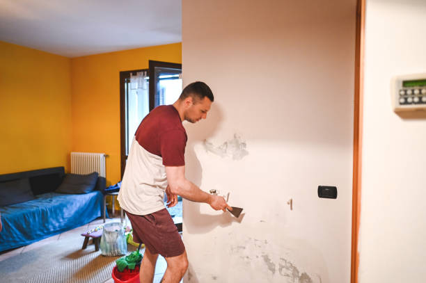 Mold Testing and Removal in Williamston, NC